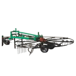 imgp3